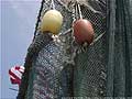 Guy Fanguy - Artist - Photographer - Guy Fanguy - Scenic - Shrimp Boats - Louisiana (12).jpg Size: 125866 - 4